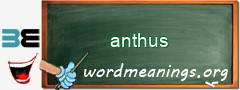 WordMeaning blackboard for anthus